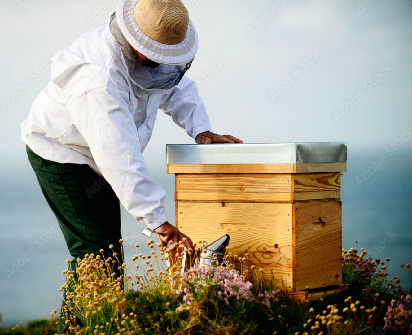 blockValue.e97db3a2-4260-46e2-b72d-a00fa27e1378.img1_alt