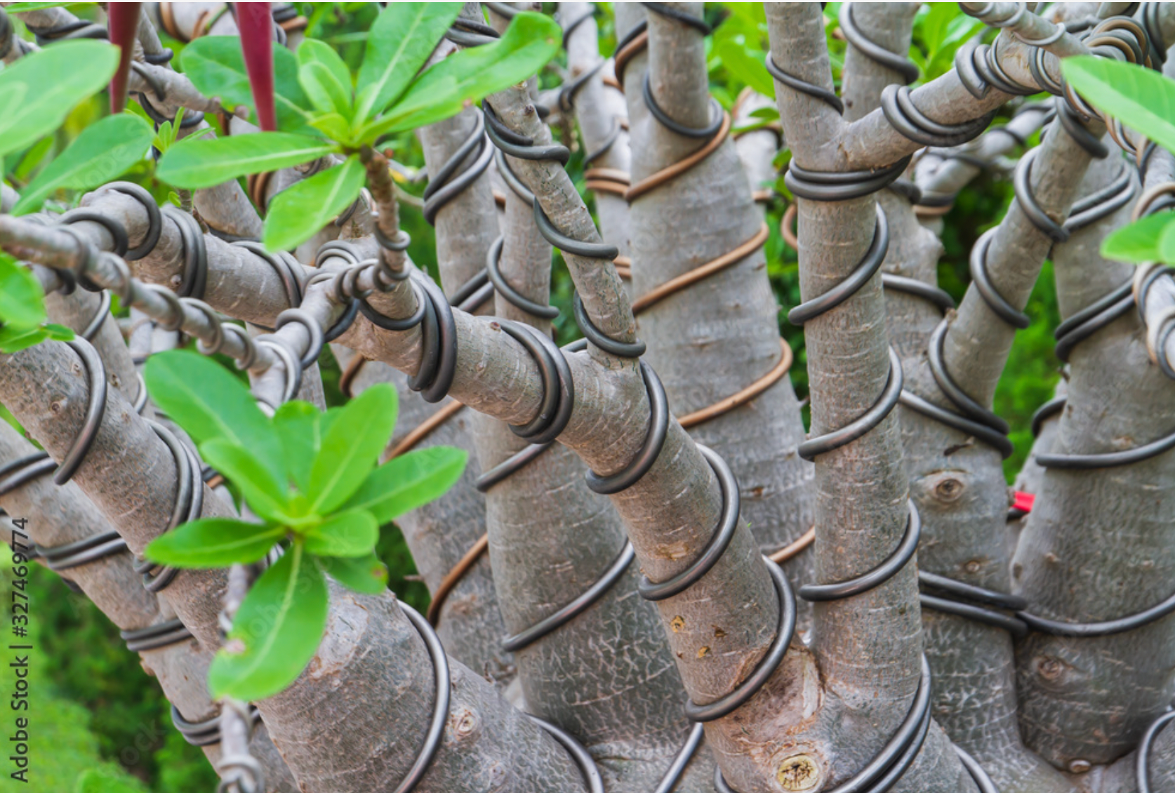 blockValue.e97db3a2-4260-46e2-b72d-a00fa27e1378.img3_alt